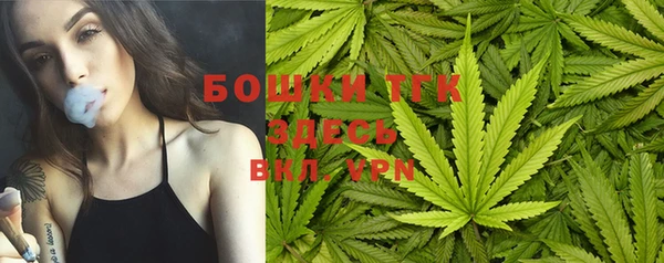 тгк Алексин