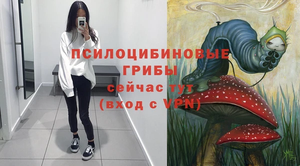 гидра Алексеевка