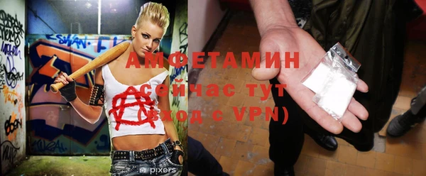 гидра Алексеевка