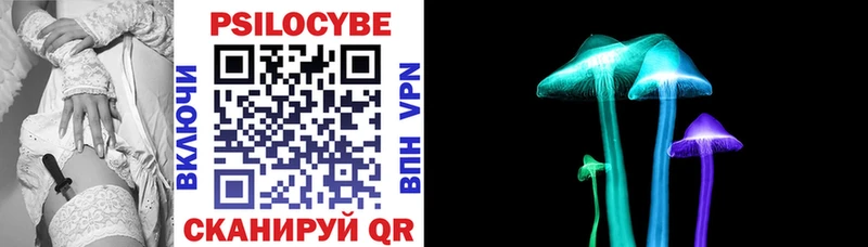 где купить   Дрезна  blacksprut ссылка  Галлюциногенные грибы Cubensis 